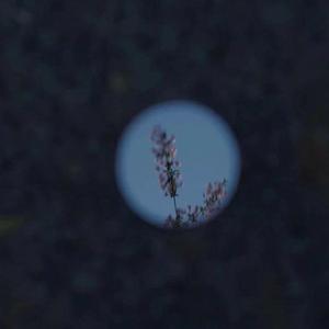 妺妺用🐻夹我的🍌视频
